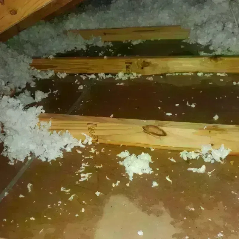 Attic Water Damage in Montebello, NY